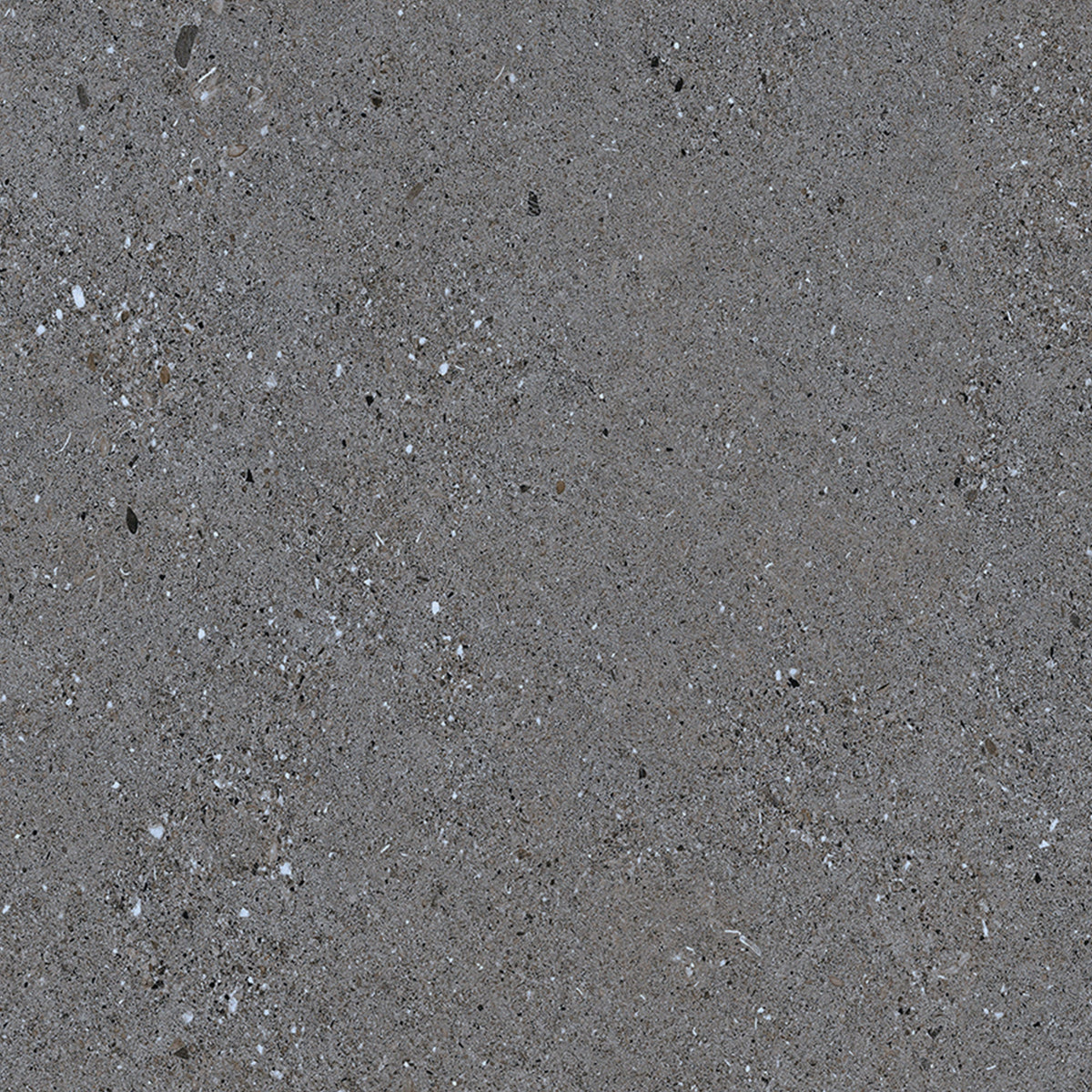 Basalt Grey Tile, 600 x 600mm matt porcelain