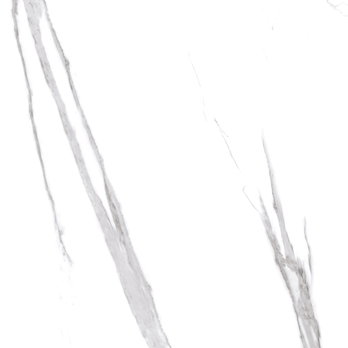 Grand White Tile, 600 x 600mm polished porcelain